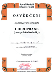 Chyropraxia
