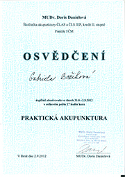 Praktická akupunktúra